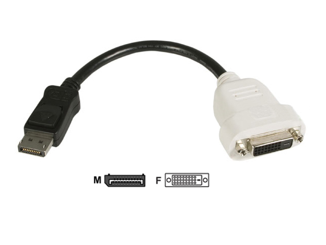 DisplayPort male to DVI-D female Video Card Adapter Cable - Click Image to Close