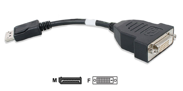 HP DisplayPort to DVI-D Video Card Adapter Cable 481409-001 - Click Image to Close